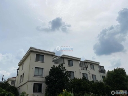 ¹Է���Ż�Է���