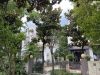 鹿苑金桥花苑实景图，拍摄于2021/6/10