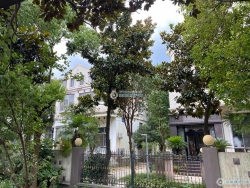 ¹Է���Ż�Է���