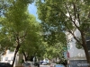 江帆花苑西区实景图，拍摄于2021/6/10