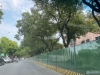 塘桥镇华芳路实景图，拍摄于2021/6/11