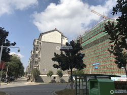 �Ĳ�С�����
