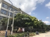 文昌小区实景图，拍摄于2021/6/11