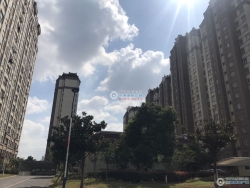�Ĳ�С�����