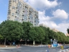 公园八号实景图，拍摄于2021/6/11