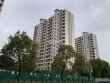 石榴江南院子实景图，拍摄于2021/6/11