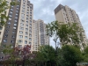 朗诗国泰城实景图，拍摄于2021/6/11