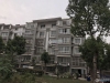 西张金谷花苑实景图，拍摄于2021/6/15