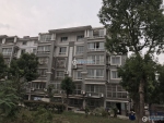 ���Ž�Ȼ�Է