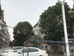 ���Ž�Ȼ�Է