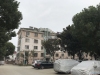 西张金谷花苑实景图，拍摄于2021/6/15