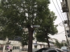上场新村实景图，拍摄于2021/6/15