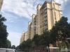 沁园新村实景图，拍摄于2021/6/15