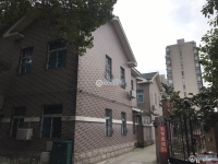 北桥花园实景图，拍摄于2021/6/15