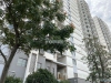 南丰永琪园实景图，拍摄于2021/6/15