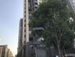 中昂·朗润实景图，拍摄于2021/6/15