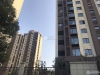 中昂朗润实景图，拍摄于2021/6/15
