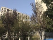 凤凰春晓实景图，拍摄于2021/6/15