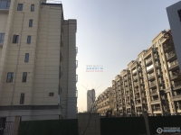 中昂朗樾实景图，拍摄于2021/6/15