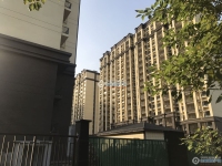 中昂朗樾实景图，拍摄于2021/6/15