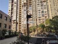 翔和茗苑实景图，拍摄于2021/6/15