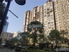 翔和茗苑实景图，拍摄于2021/6/15