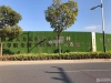 阳光诚域实景图，拍摄于2021/6/15