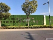 金厦阳光诚域实景图，拍摄于2021/6/15