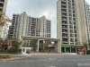塘市金塘路实景图，拍摄于2021/6/16