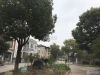 塘桥镇华芳雅筑实景图，拍摄于2021/6/16