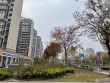 碧桂园翡翠湾3期实景图，拍摄于2021/6/17