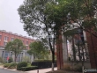 沙洲新城实景图，拍摄于2021/6/17