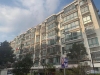南丰四季花苑实景图，拍摄于2021/6/18