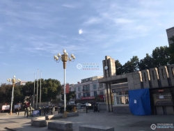 �޿�ֲĳ����