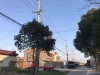 凤东小区实景图，拍摄于2021/6/18