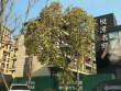 中联悦江山实景图，拍摄于2021/6/18