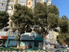 暨阳中路实景图，拍摄于2021/6/21