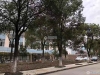 塘市街实景图，拍摄于2021/6/21