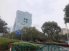 创投大厦(金茂大厦)实景图，拍摄于2021/6/22
