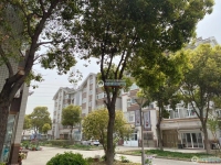 黄泗浦新村实景图，拍摄于2021/6/22