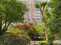 阳光水岸实景图，拍摄于2021/6/22