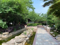 阳光水岸实景图，拍摄于2021/6/22