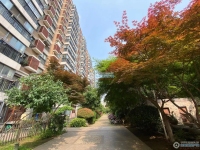 阳光水岸实景图，拍摄于2021/6/22