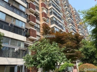 阳光水岸实景图，拍摄于2021/6/22