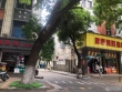 胜利新村