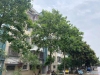 德积镇学前小区实景图，拍摄于2021/6/22