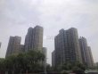 国泰润园实景图，拍摄于2021/6/22