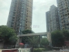 国泰润园实景图，拍摄于2021/6/22