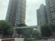 国泰润园实景图，拍摄于2021/6/22