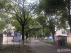 中德新村实景图，拍摄于2021/6/7